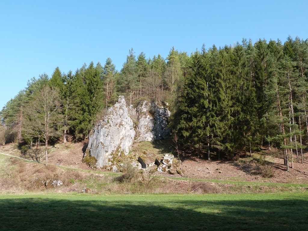 Abendwanderung durch das Naturschutzgebiet Schottental am 12. Mai