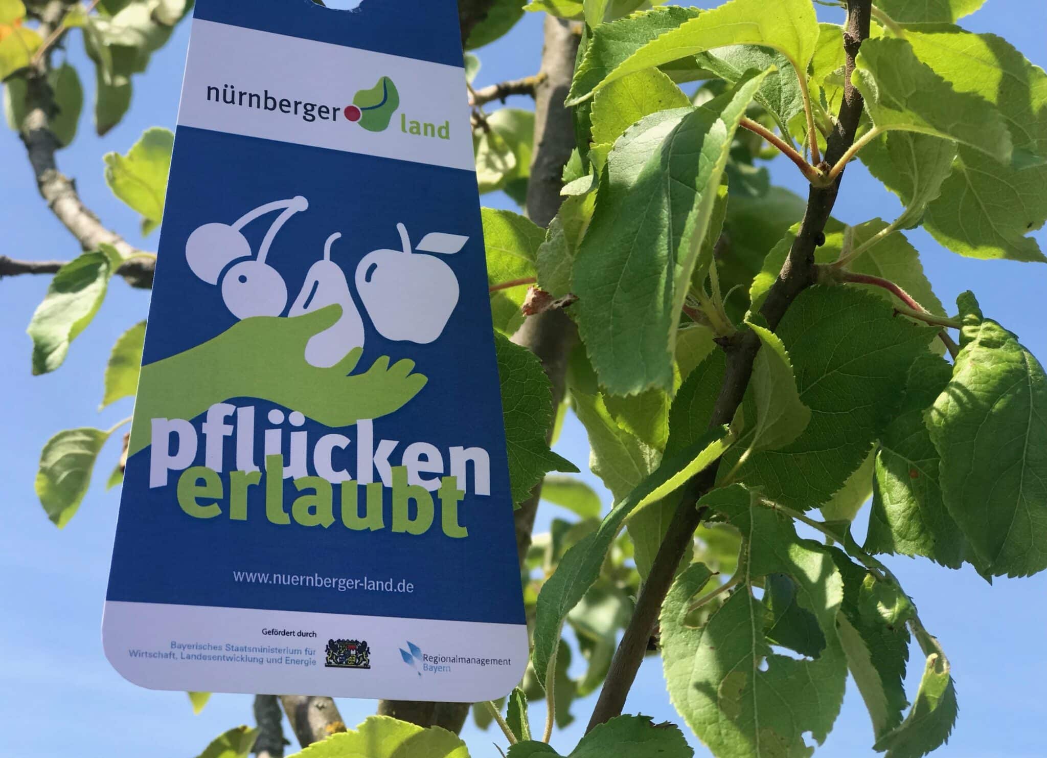 gelbes-band_pressefoto